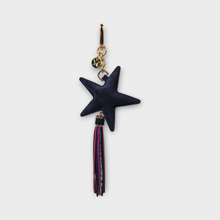 Milky Way Shooting Star