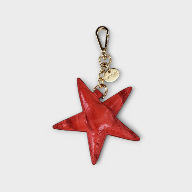 Star Bag Charm