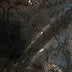 Close-up of a textured surface with dark glossy light reflective patterned scales of a python.