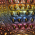 Close-up of a textured surface with a pattern resembling a crocodile skin in rainbow metallic.